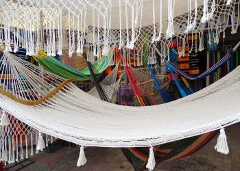 Europa interesada en nuevos productos salvadoreños