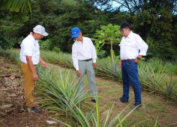 Benefician a 546 productores con el programa Agro-Innova
