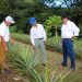 Benefician a 546 productores con el programa Agro-Innova