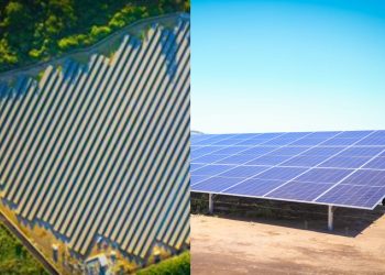 CEL inauguró Talnique Solar, la primera planta fotovoltaica del Estado