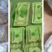 Traficantes han sido capturados con droga valuada en $177,676 en diciembre