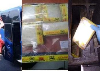 Autobús de transporte internacional que llevaba cinco kilos de cocaína pasa al Estado