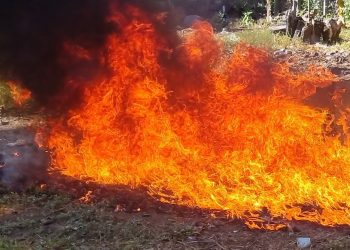 Destruyen más de $30,000 en droga incautada en la zona oriental de El Salvador