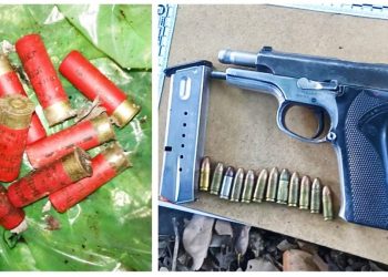 La Fuerza Armada ha decomisado 250 cartuchos de armas a criminales en 11 municipios