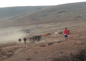 Mueren 20 personas por deslizamientos de tierra en el norte de Tanzania