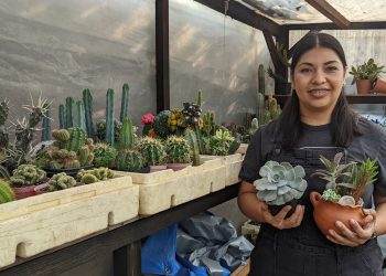 La nutricionista que emprende con cactus y suculentas