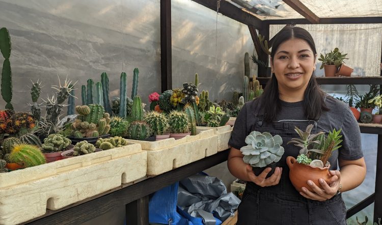 Karla trabaja en el hospital nacional de Santiago de María, en Usulután. El emprendimiento de los cactus y las suculentas lo desarrolla en su tiempo libre. Foto: Jeannette Rodríguez