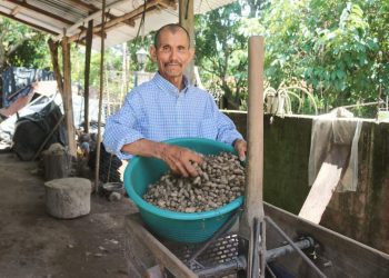Manuel lleva 40 años de producir cacahuate en Texistepeque