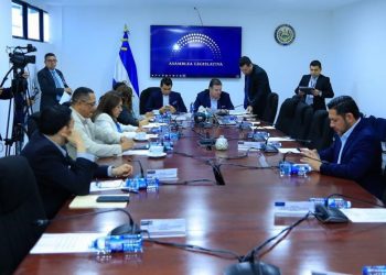 ONG explican a los diputados el uso de los fondos que recibieron en el Presupuesto 2023