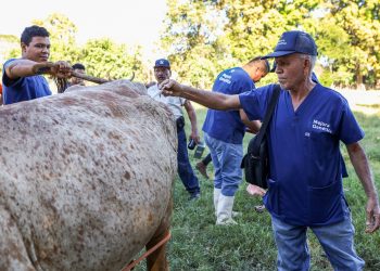 Gobierno de El Salvador evalúa ganado apto para mejora genética en Zacatecoluca, La Paz