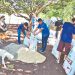 Productores aprenden a elaborar abono orgánico en Conchagua