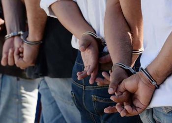 Seguridad ha capturado a 12 de 15 jefes terroristas de la MS