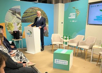 COP28: especialistas debaten el rol del sector privado en las acciones climáticas