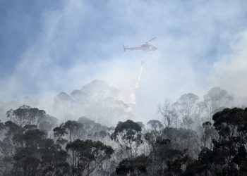 Suben a 21 los incendios forestales en Colombia en medio de récords de calor