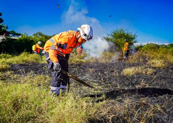 Buscan estrategias para disminuir incendios en San Miguel