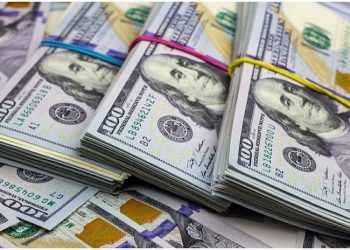 Juzgado ordena que $23,255 que la MS tenía enterrado en el patio de un casa y en un cañal pasen al Estado