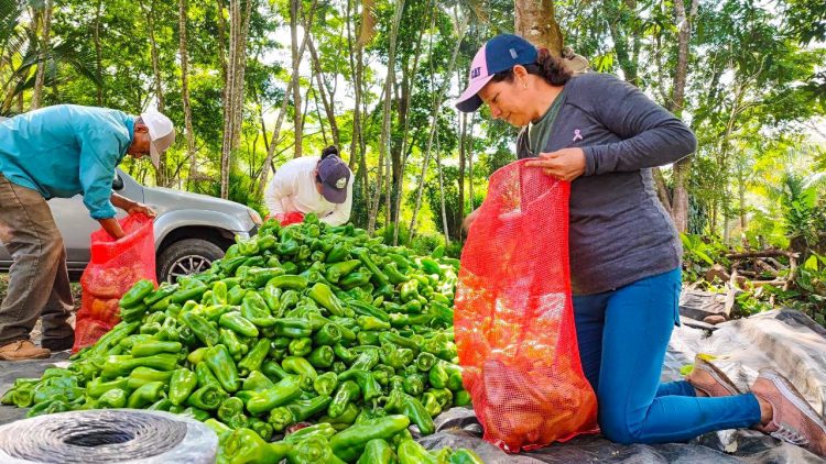 Foto/ Diario El Salvador
