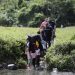 Unos 120,000 menores entre récord de migrantes que cruzaron selva panameña en 2023