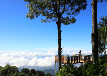 Cerro El Pital: Tour de altura para disfrutar el inicio del año