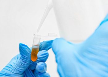 Realizan extracción de ADN de especies vegetales a través del Laboratorio de Biología Molecular del MARN
