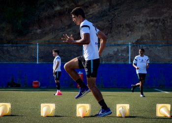Los paquidermos están oficialmente inscritos para el Clausura 2024