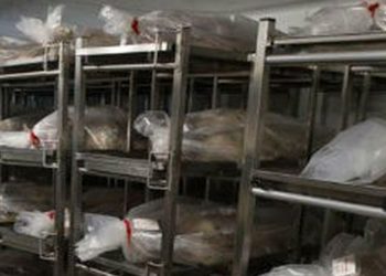 Desarticulada en España una trama de venta de cadáveres a universidades
