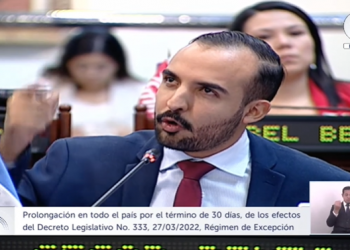 Diputado de ARENA amenaza con cárcel a funcionarios del Ejecutivo y Legislativo