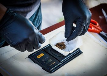 Fiscalía destruirá droga valuada en más de $46,000