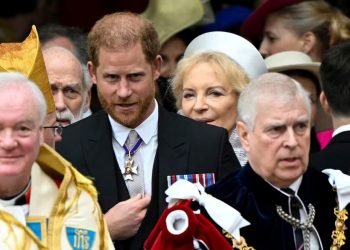 Los príncipes Andrés y Enrique no podrán sustituir al rey Carlos III en caso de incapacidad