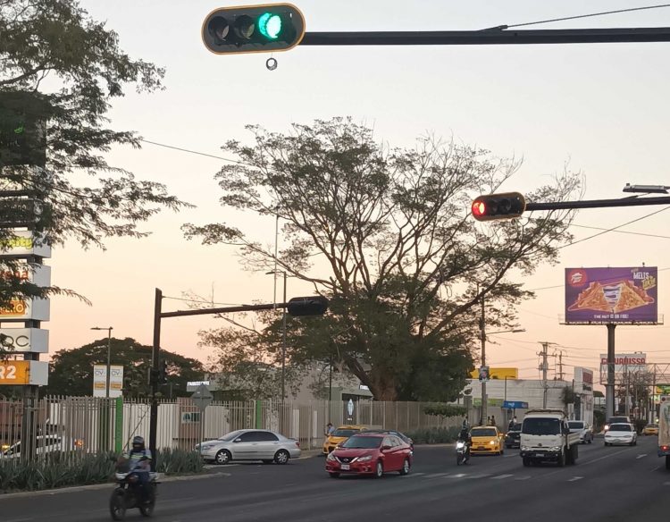 Foto / Iliana Ávila