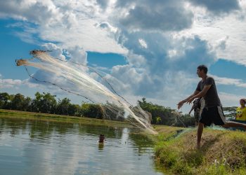 Gobierno de El Salvador apuesta por el desarrollo del sector acuícola