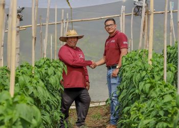 Productor es beneficiado con el programa Sembrando Vida 