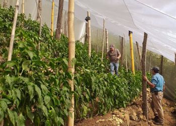 El Centa brinda asistencia a veteranos y excombatientes