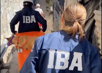 Rescatan a un perro que pasó 10 días en un barranco, en San Martín
