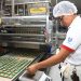 El Salvador se ha vuelto atractivo para empresas internacionales