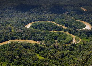 El cambio climático favoreció la sequía en la Amazonía en 2023, según un estudio