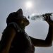 El año 2023 se confirma como el más cálido de la historia