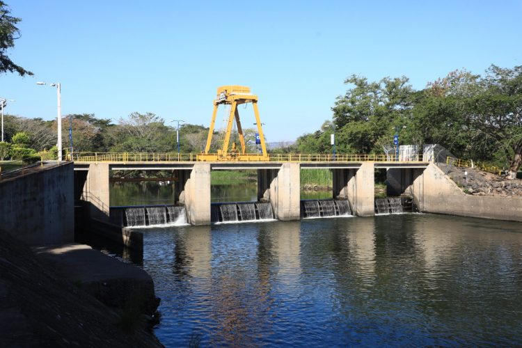 Foto: Guillermo Martínez / Diario El Salvador