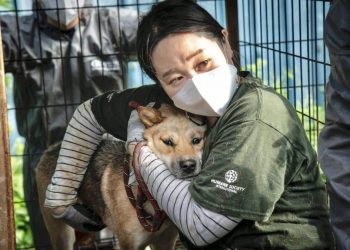Parlamento de Corea del Sur prohíbe el comercio de carne de perro