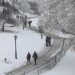 FOTOS: Nueva York amanece cubierto de nieve