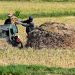 Los pesticidas cada vez más utilizados en la agricultura mundial