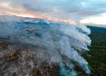 Incendio forestal arrasa más de 2,400 hectáreas de un emblemático Parque Nacional de Argentina