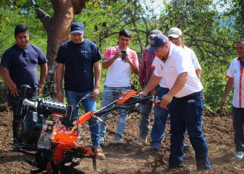 Capacitarán a 150 familias en producción de hortalizas en Morazán