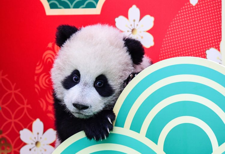 Foto: Xinhua