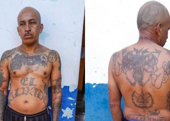 Pandillero de la MS13 deportado de Estados Unidos es capturado en Santa Ana