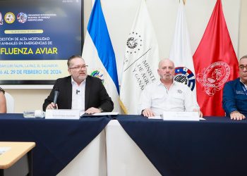 El Salvador continúa libre de gripe aviar