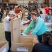 TSE concluye el traslado de paquetes electorales para la elección de 44 alcaldes
