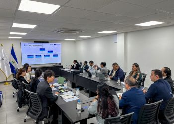 El SEM y KOICA coordinan proyectos de atención materno infantil