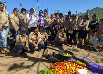 Mujeres de Ciudad El Triunfo aprendieron sobre huertos caseros