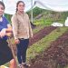 Jóvenes de San Luis de la Reina comercializan su cosecha de chile